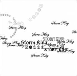 Storm King : The First Four Songs